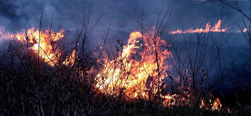 wildfire spreading out