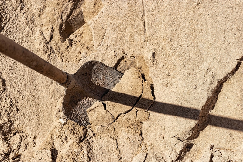 Builder’s Sand