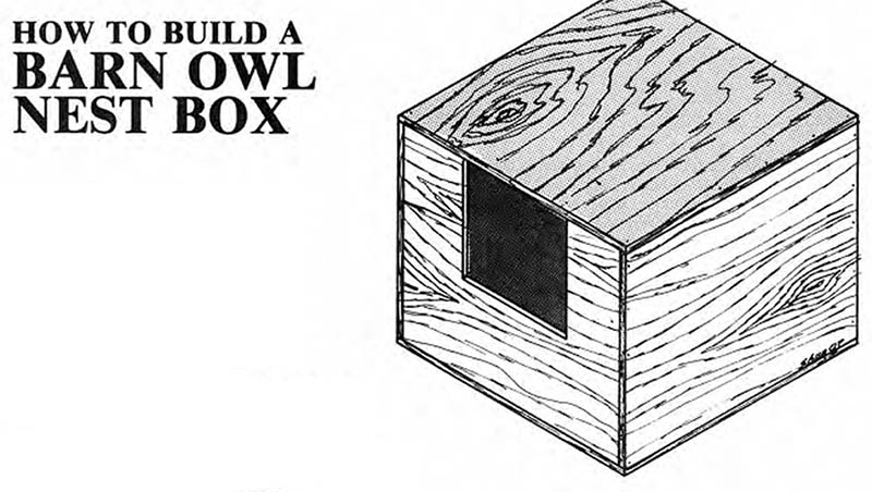 DIY Barn Owl Nest Box by Vulcan Termite