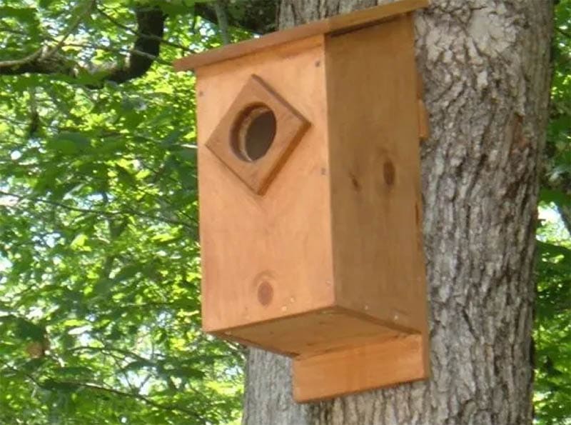 DIY Barn Owl Nesting Box by Anthony Altorenna