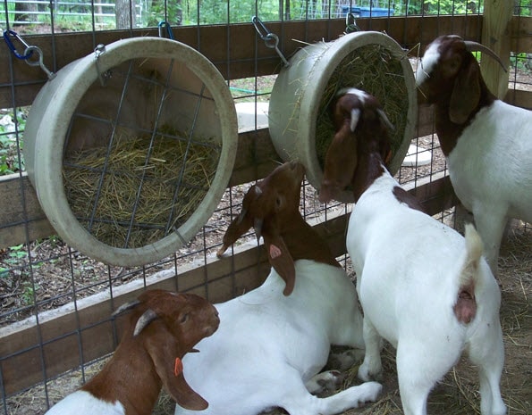 DIY Bucket Hay Feeder