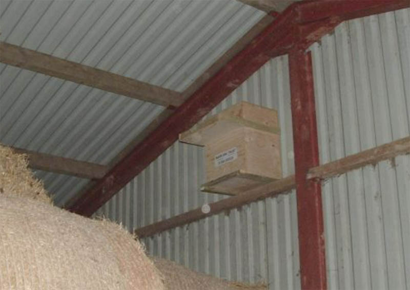 DIY Indoor Barn Owl Nestbox by The Barn Owl Trust