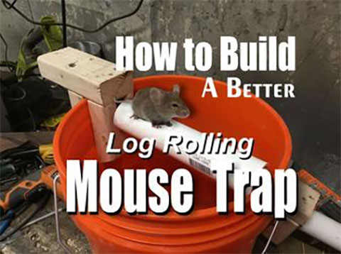 DIY Log Roller Mouse Bucket Trap