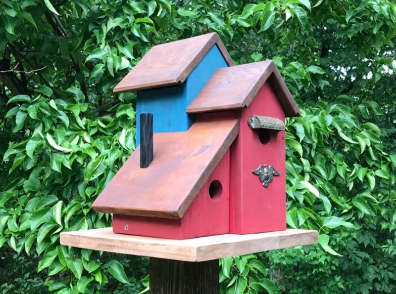 DIY Multi-Unit Hummingbird Complex