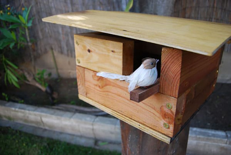 DIY Open Bird Box House