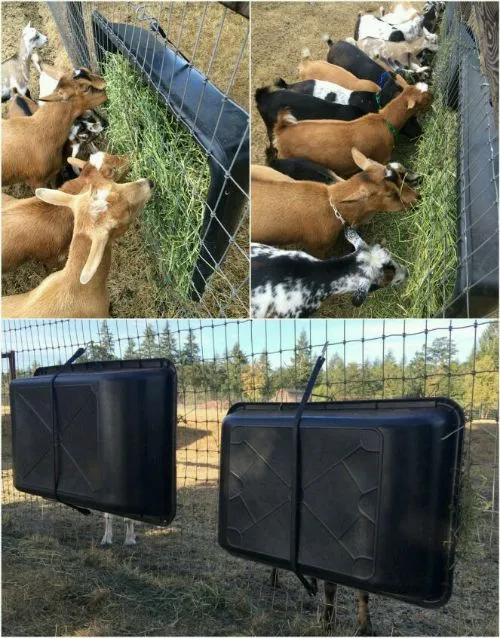 Mixing Tub Hay Feeder by Homestead Lifestyle