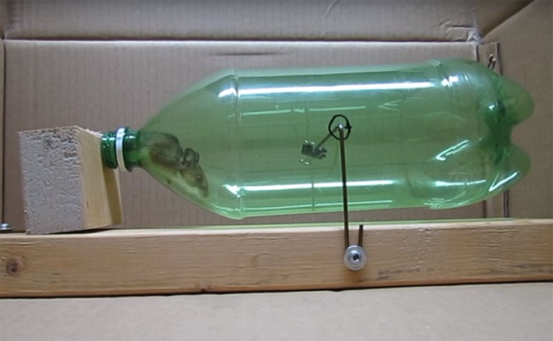 Non-Lethal Soda Bottle Mouse Trap