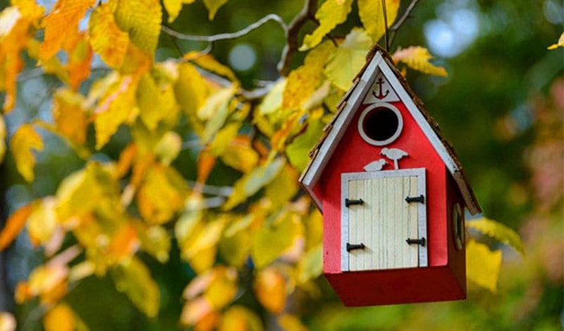 Private DIY Hummingbird House
