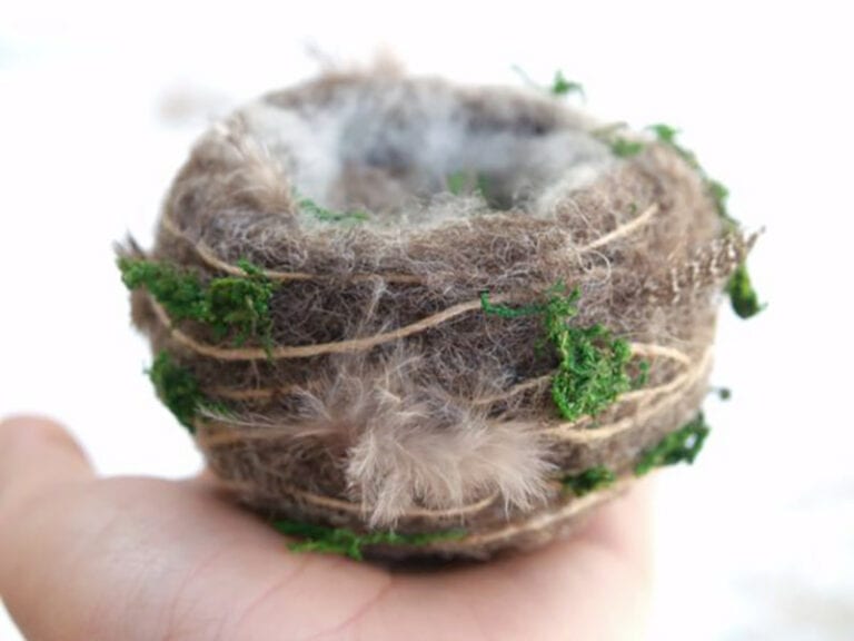 10 DIY Hummingbird House Plans You Can Build Today (With Pictures ...