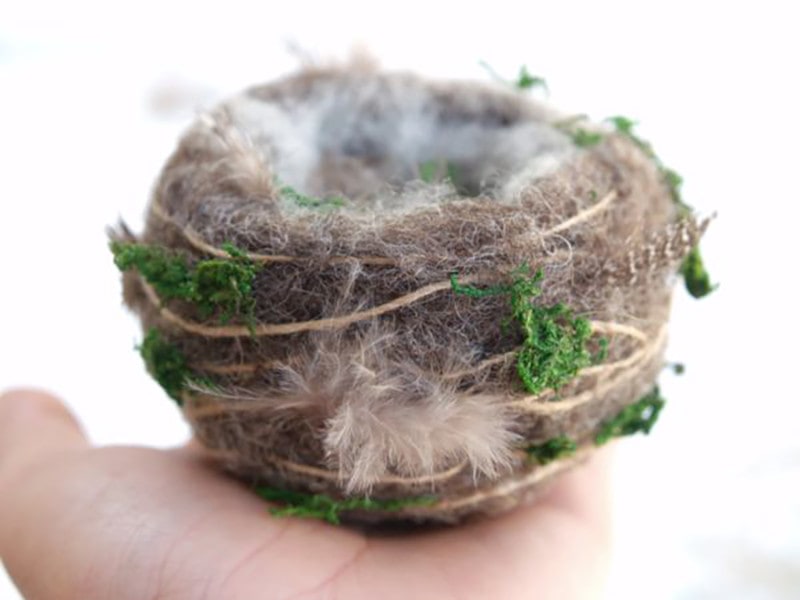 Wool & Foam Hummingbird Nest