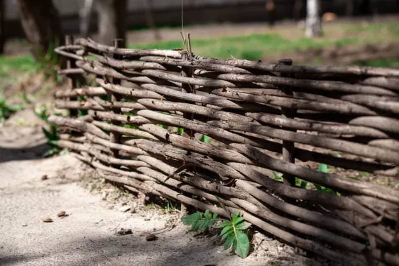 diy decorative fence with tree branches