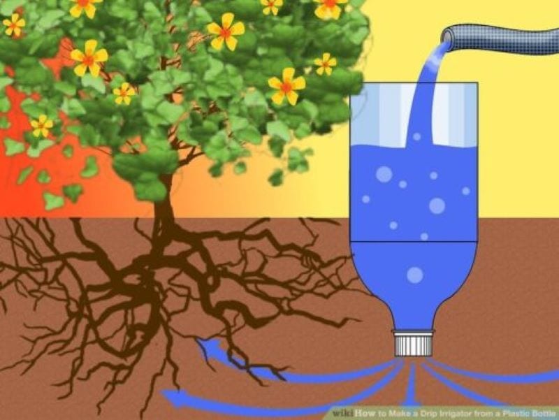 diy drip irrigation bottle from a plastic bottle