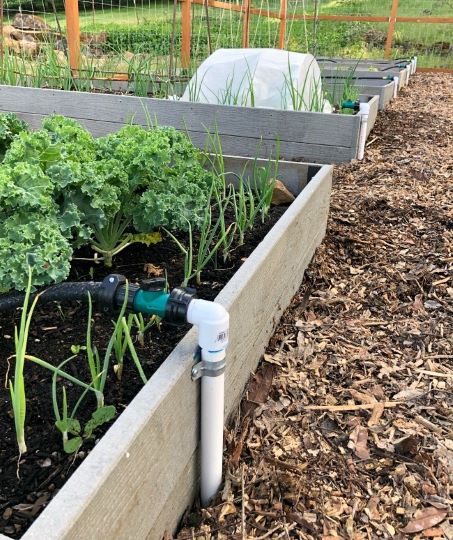 diy garden watering system