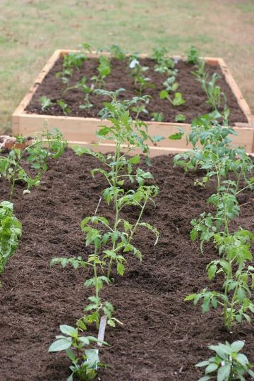 diy irrigation system for raised bed garden