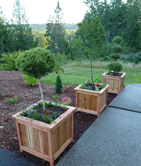 diy large cedar planter boxes