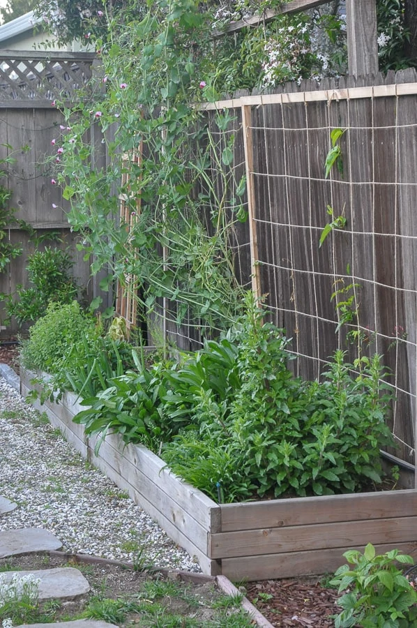diy micro spray irrigation for raised garden beds with video drip irrigation