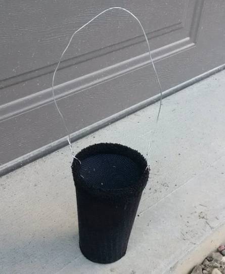 diy mosquito killing ovitrap
