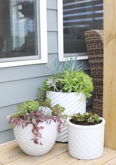 diy outdoor planter tip + easy succulent planters