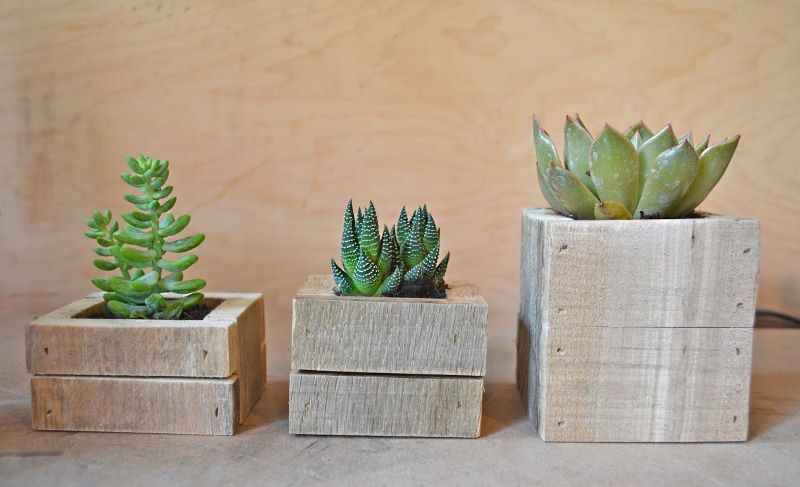diy pallet wood succulent planters
