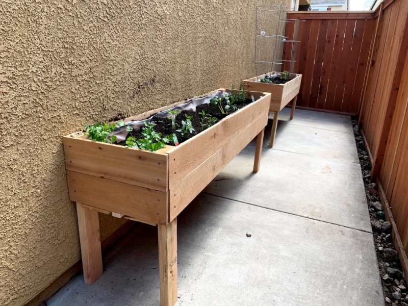 diy raised planter box