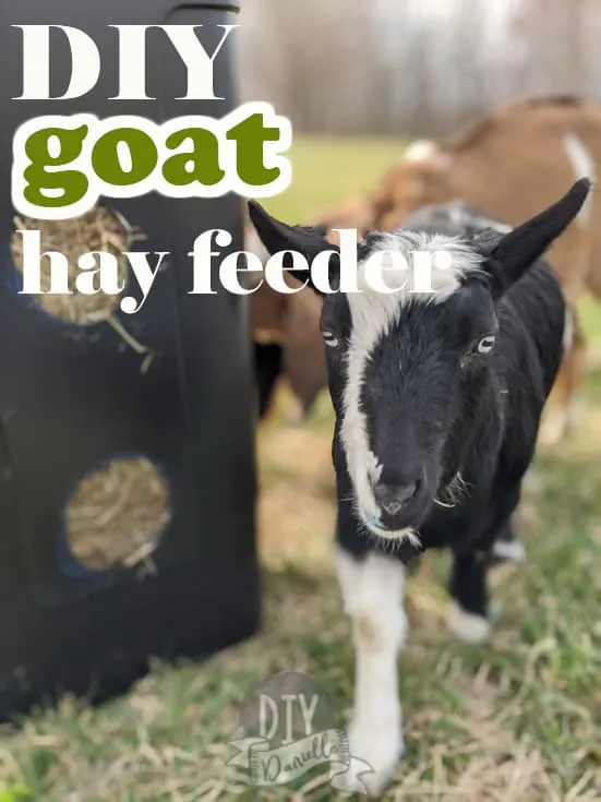 Rolling Trashcan Goat Hay Feeder