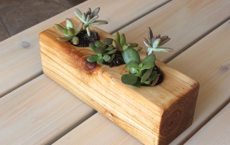 diy succulent planter
