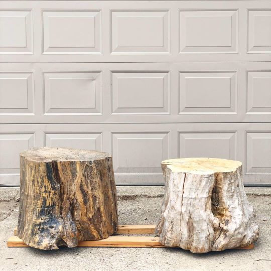 diy tree stump coffee tables