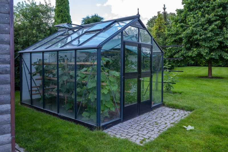 greenhouse in the garden