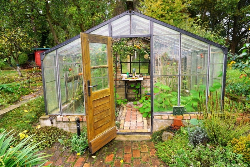 greenhouse with bricks flooring