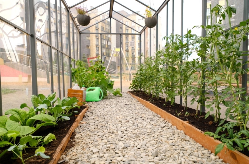 greenhouser with gravel flooring