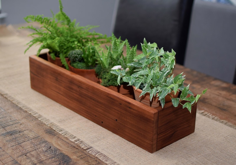 wood decorative centerpiece with plants