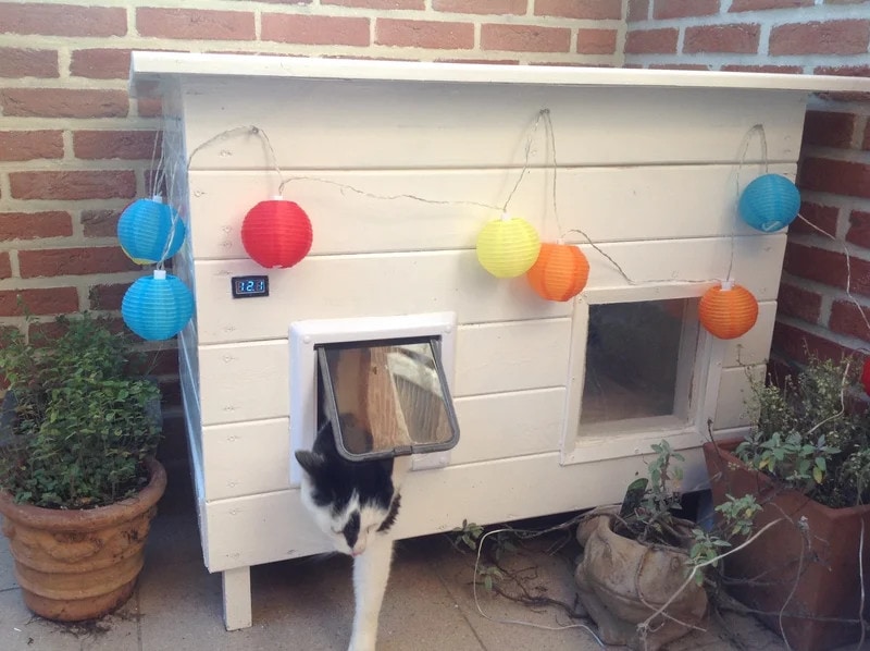 15 DIY Outdoor Cat House Plan