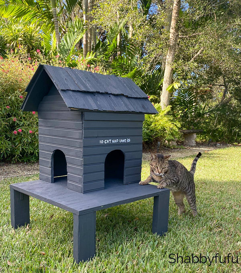 15 DIY Outdoor Cat House Plans