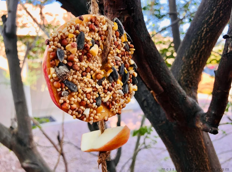 DIY Apple Bird Feeder