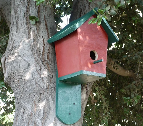 DIY Bluebird (and Other Bird) House