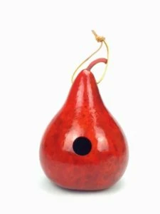 DIY Gourd Birdhouse