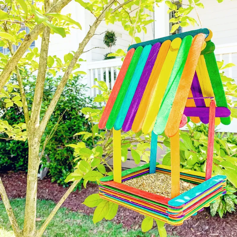 DIY Popsicle Feeder