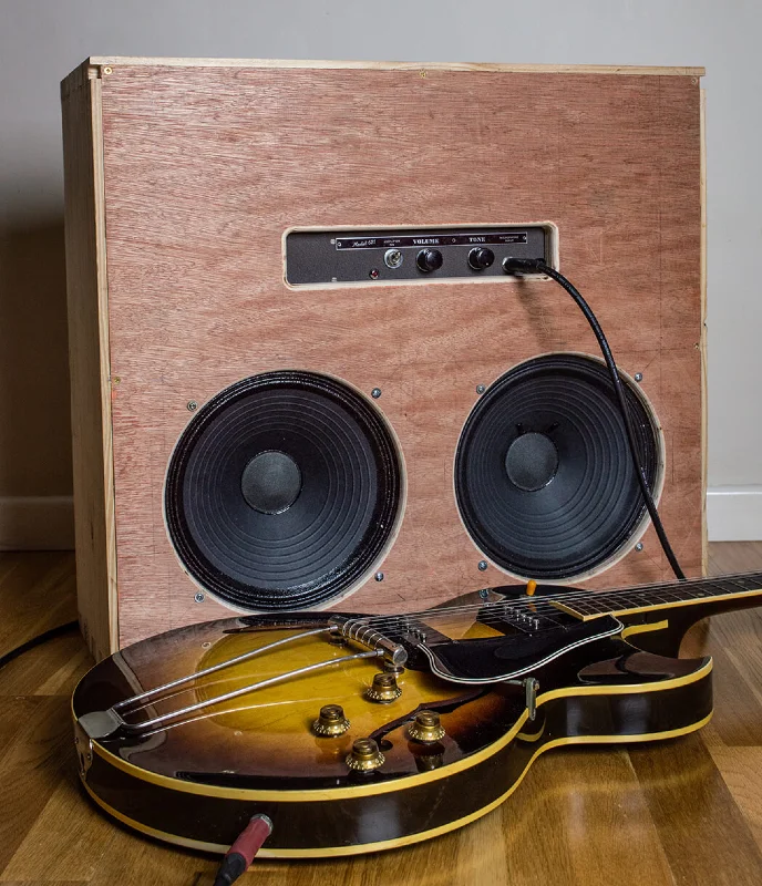 DIY Speaker Cabinet