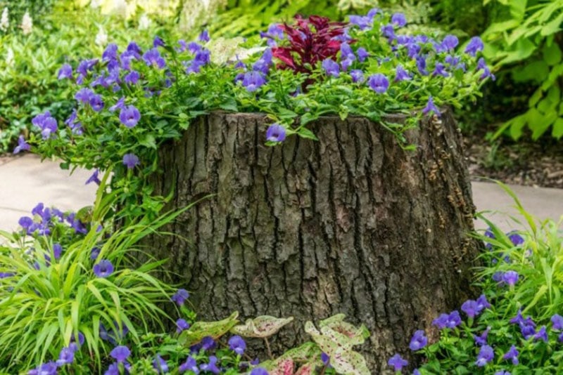DIY Wood Log Projects