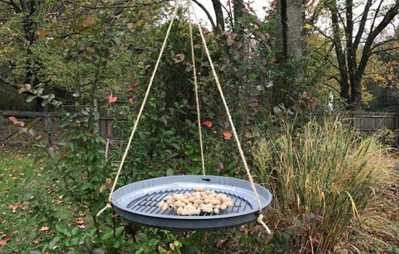 Garbage Can Lid Platform Bird Feeder by Hobby Farms