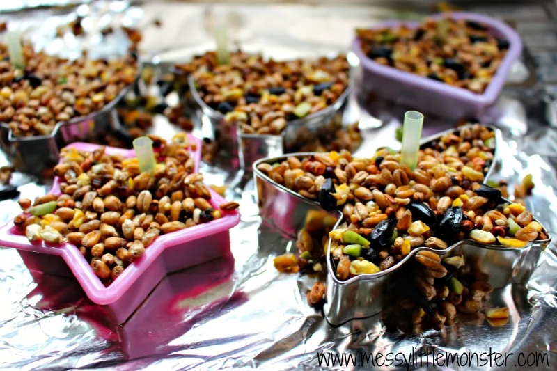 Gelatin Bird Feeder