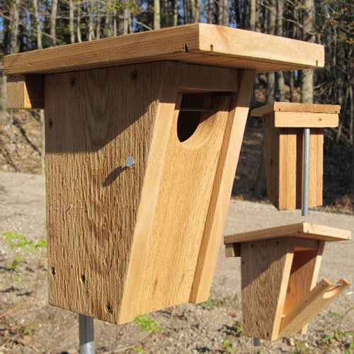 Gilbertson Bluebird House Plans by Nest box builder 