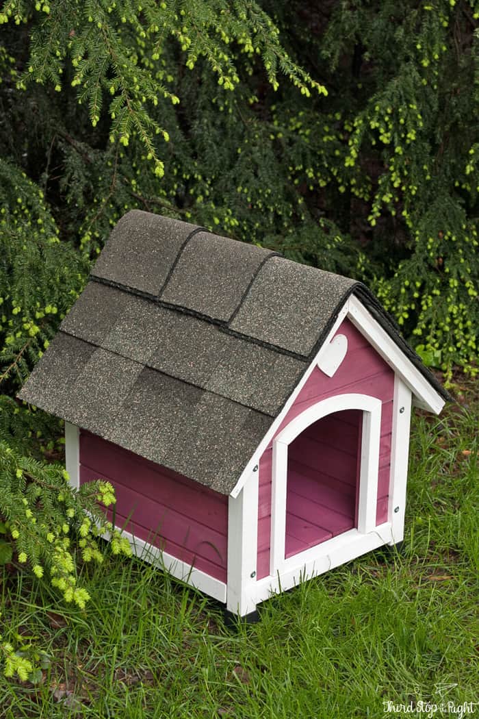 HG_Cute Feral Cat Shelter With Shingles