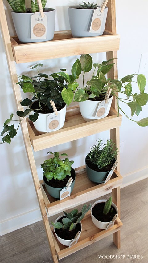 Indoor Garden Ladder Shelf