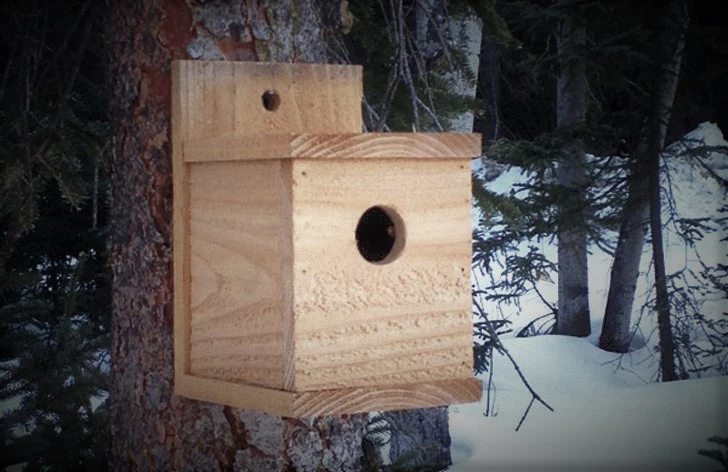Modern Cedar Fence Picket DIY Birdhouse