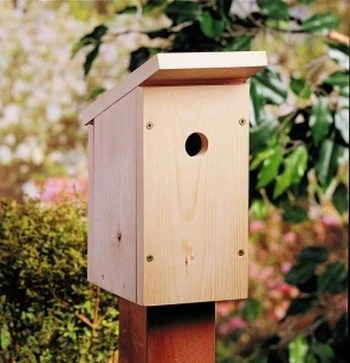 One Board Easy DIY Birdhouse