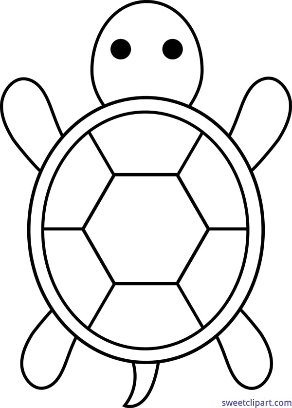 Simple Turtle Pattern