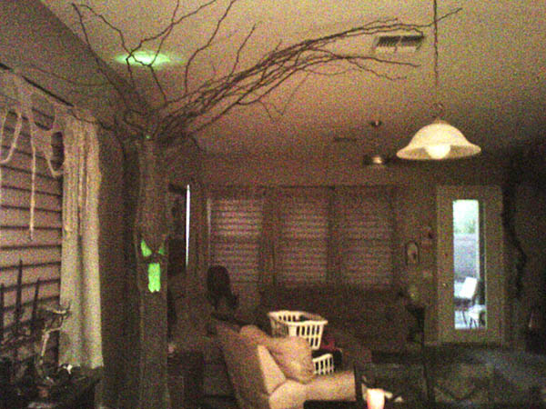 #30_Haunted_Tree
