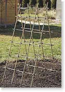 Building_a_Bamboo_Trellis