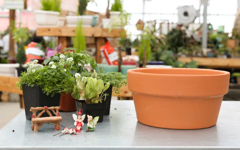 Classic Pot Fairy Garden by franz witte